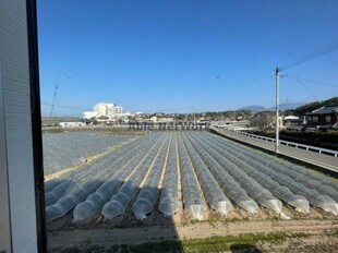 愛野駅 徒歩5分 1階の物件内観写真